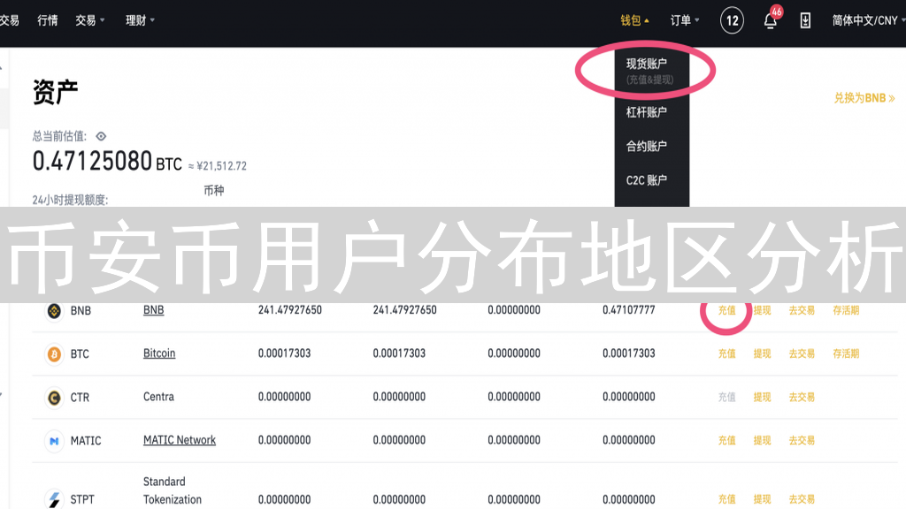 币安币用户分布地区分析：谁是最大的市场？