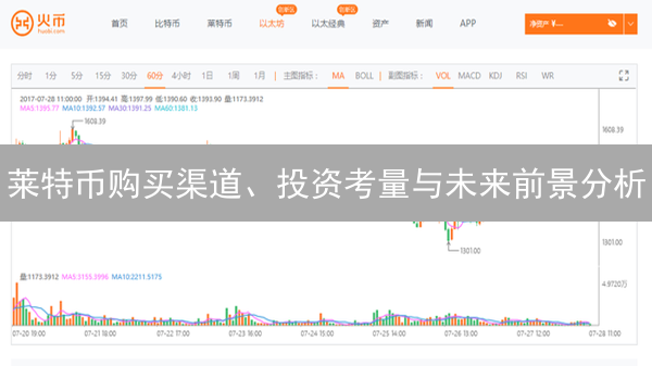 莱特币购买渠道、投资考量与未来前景分析