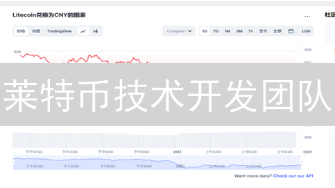 莱特币技术开发团队：构成、贡献与未来方向深入分析