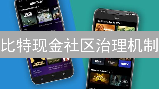 比特现金社区治理机制：去中心化进化实验