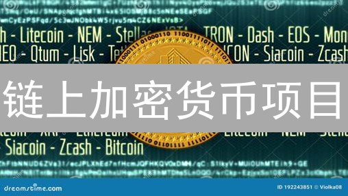 链上加密货币项目：透明、安全还是炒作？未来趋势深度分析