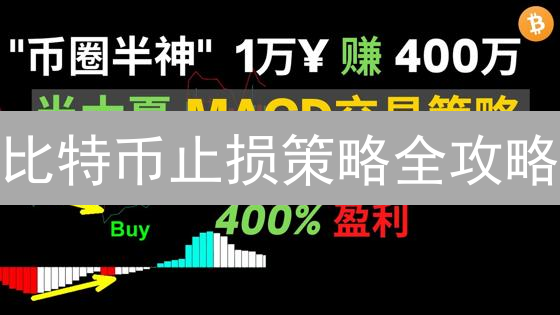 比特币止损策略全攻略：如何有效控制交易风险？