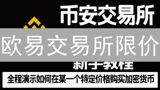 欧易交易所限价/市价单：新手必看，速成交易达人！