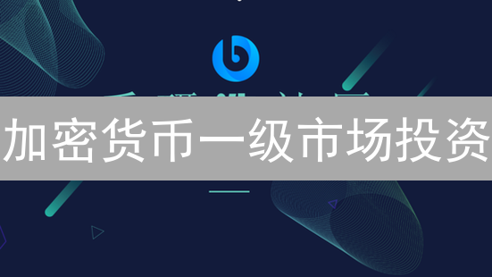 加密货币一级市场投资：如何抓住早期机遇？避坑指南！