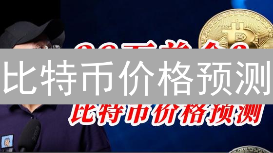 比特币价格预测：揭秘2024年投资机会与风险！