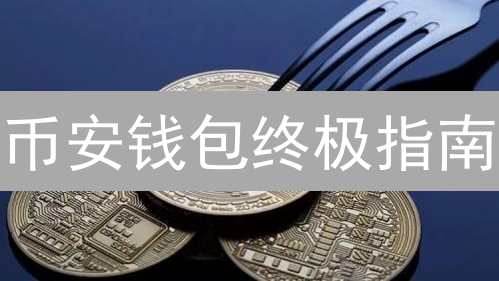 币安钱包终极指南：3分钟玩转交易所&TrustWallet！新手必看！
