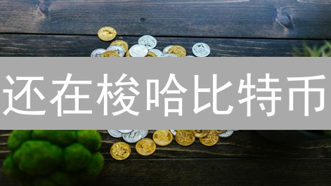 还在梭哈比特币？9招教你分散风险，稳健投资！