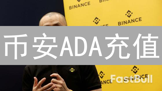 币安ADA充值：15分钟到账？避坑指南与加速技巧全解！