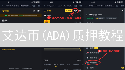 艾达币(ADA)质押教程：2024年如何获得高收益？
