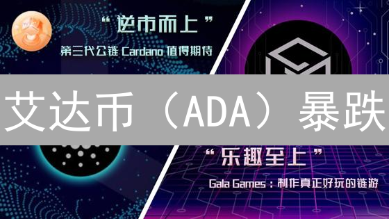 艾达币（ADA）暴跌？2024年价值深度解析与未来展望！