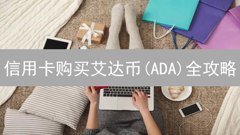 信用卡购买艾达币(ADA)全攻略：可行性、挑战与未来展望！