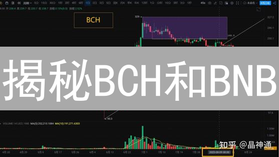 揭秘BCH和BNB：谁是加密货币的未来？深度对比分析！