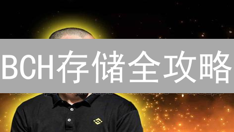 BCH存储全攻略：Binance安全指南与理财妙招，让你的币增值！