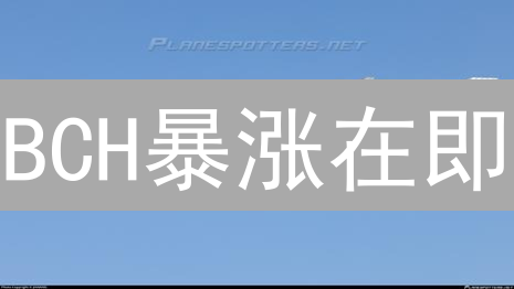 BCH暴涨在即？欧易交易所购买指南，手慢无！