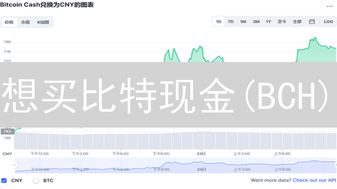 想买比特现金(BCH)？币安购买指南与安全策略！