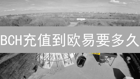 BCH充值到欧易要多久？掌握影响到账速度的秘诀！