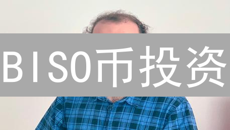 BISO币投资：暴涨背后，五大风险你必须知道！【2024最新】