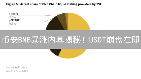 币安BNB暴涨内幕揭秘！USDT崩盘在即？DeFi新机会！