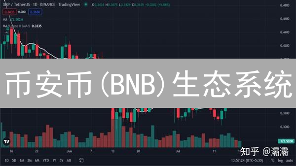 币安币(BNB)生态系统：行情、应用与未来深度解析
