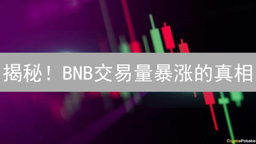 揭秘！BNB交易量暴涨的真相？币安币未来走势深度分析