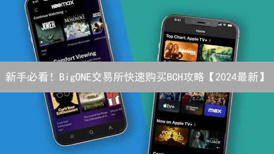 新手必看！BigONE交易所快速购买BCH攻略【2024最新】