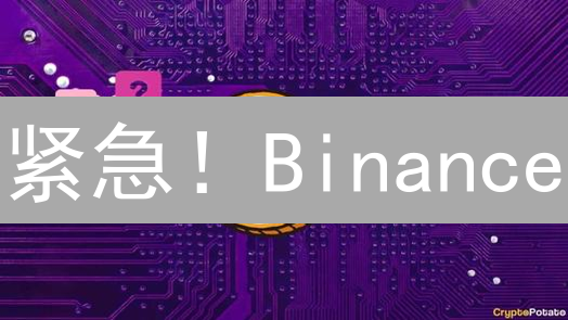 紧急！Binance/MEXC 充值 SHIB 币到账时间终极指南！