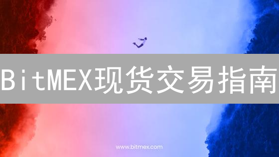 BitMEX现货交易指南：新手也能快速上手！