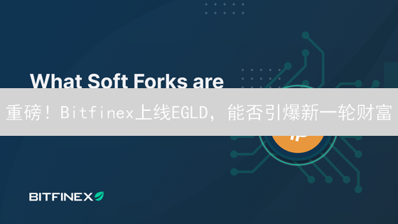 重磅！Bitfinex上线EGLD，能否引爆新一轮财富？