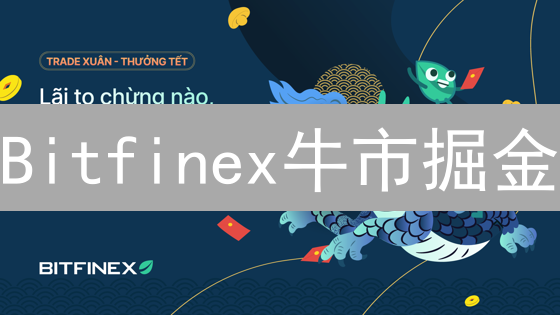 Bitfinex牛市掘金：资金配置、杠杆技巧与币种选择全攻略？