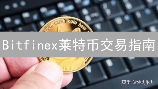 Bitfinex莱特币交易指南：新手必看！揭秘交易风险与替代方案