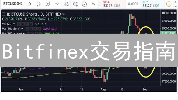 Bitfinex交易指南：新手到高手的进阶秘籍！