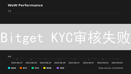 Bitget KYC审核失败？常见原因与高效解决指南！
