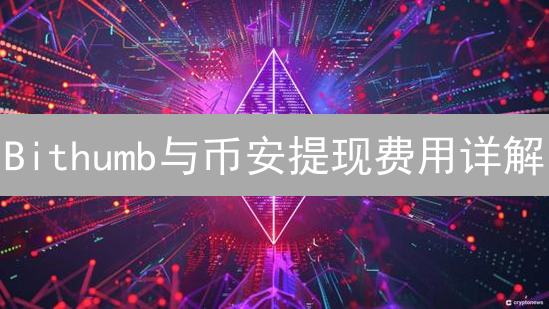 Bithumb与币安提现费用详解：币种、网络及成本分析
