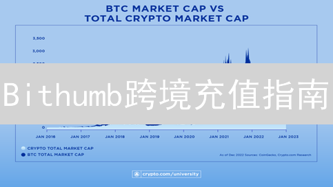 Bithumb跨境充值指南：避坑必看，速成攻略！