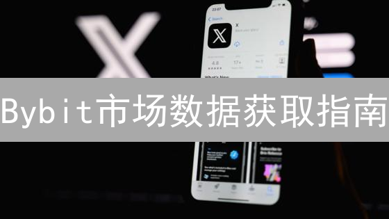 Bybit市场数据获取指南：API接口、数据类型及应用场景解析