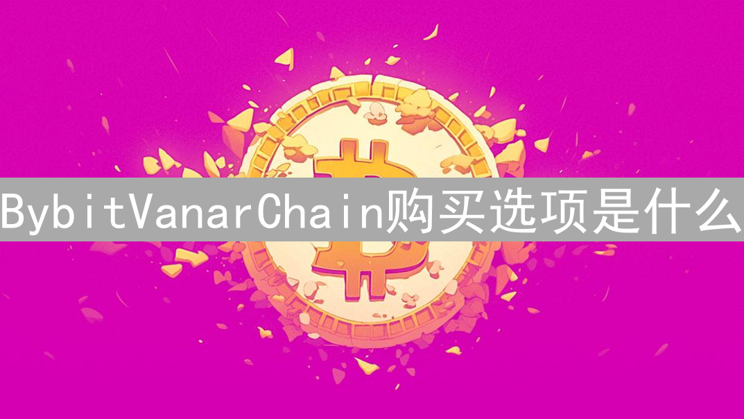 BybitVanarChain购买选项是什么