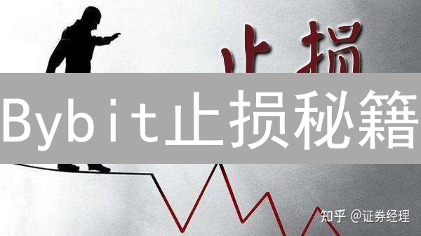 Bybit止损秘籍：一招鲜吃遍天？小心爆仓！