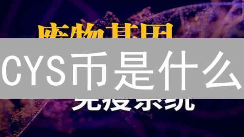 CYS币是什么？全面解析CYS币的起源、技术与应用