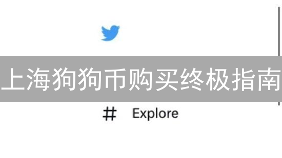 上海狗狗币购买终极指南：如何低风险入手DOGE？