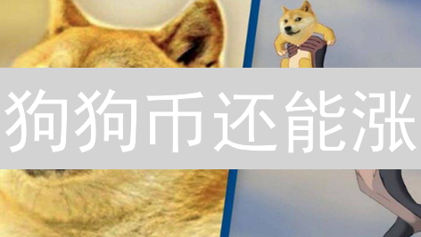 狗狗币还能涨？揭秘DOGE生态合作方，暴涨内幕！