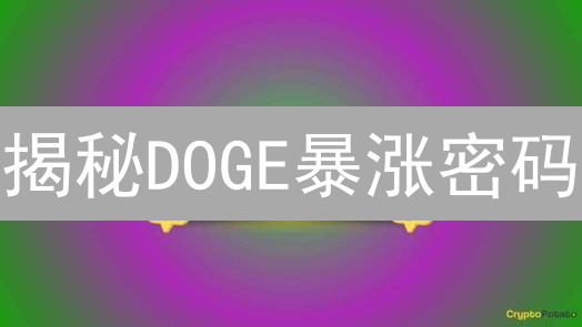 揭秘DOGE暴涨密码：下一个马斯克何时出现？