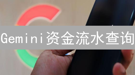 Gemini资金流水查询：3分钟掌握你的加密资产动向！