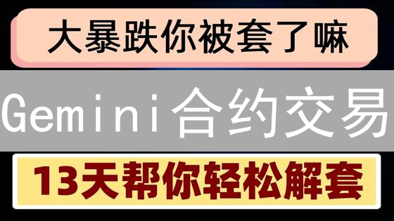 Gemini合约交易：策略优化与实战，风险管理与技术分析