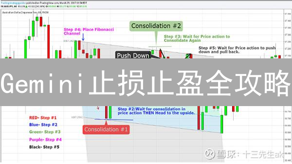 Gemini止损止盈全攻略：新手也能掌控的加密货币交易风险！