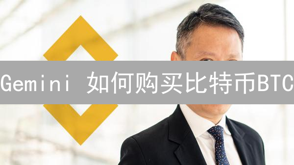 Gemini 如何购买比特币BTC？USDT 交易教程详解！