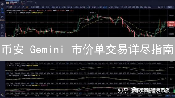币安 Gemini 市价单交易详尽指南：加密货币交易技巧