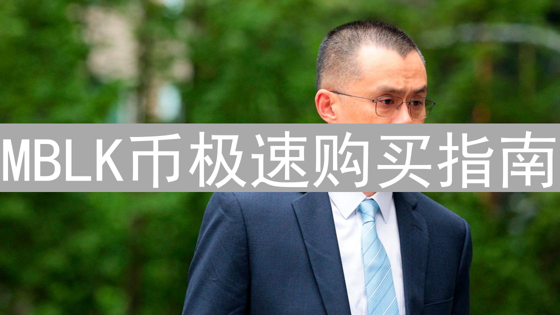 MBLK币极速购买指南：交易所选择与交易技巧全解析