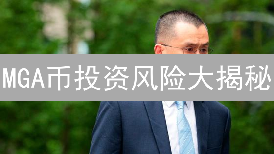 MGA币投资风险大揭秘：避坑指南，新手必看！
