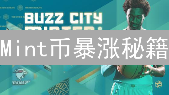 Mint币暴涨秘籍：新手也能轻松挖矿？风险全解析！