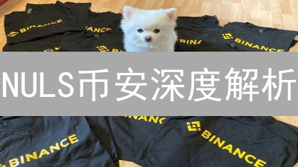 NULS币安深度解析：模块化区块链的崛起之路！